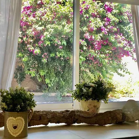 La Parenthese D Emmy - Hammam Sauna Holiday home